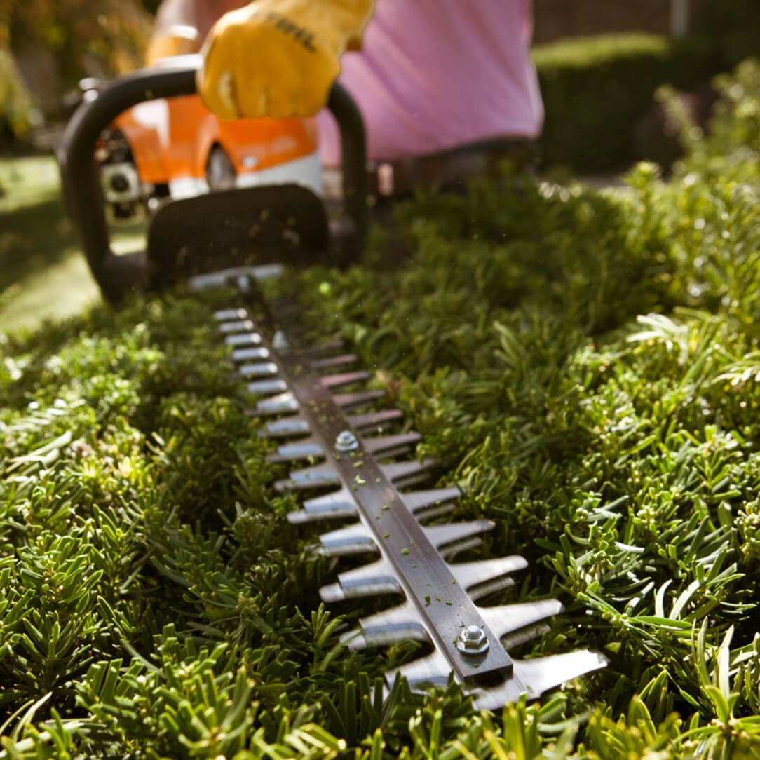 Stihl Hedge Trimmers and Shears Essential Guide for Pruning