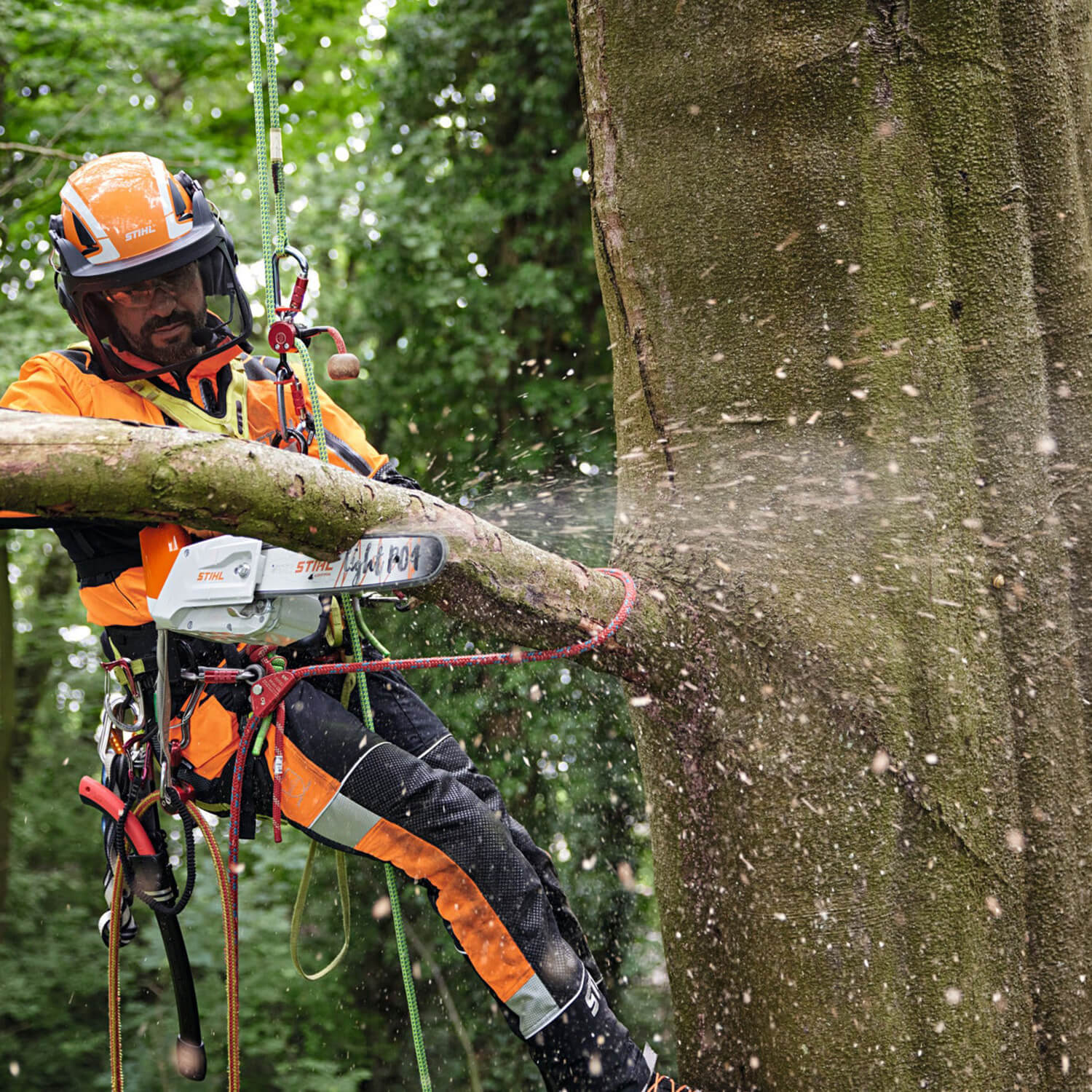 Stihl Chainsaw Buying Guide How to Pick the Right Model
