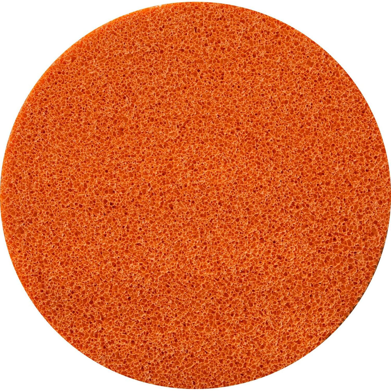 WIRELESS SPONGE FLOAT, DRY, WET, NAUTILO