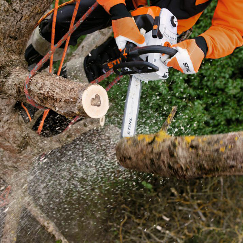 STIHL MS 201 TC-M 12" Chainsaw 1145 200 0335