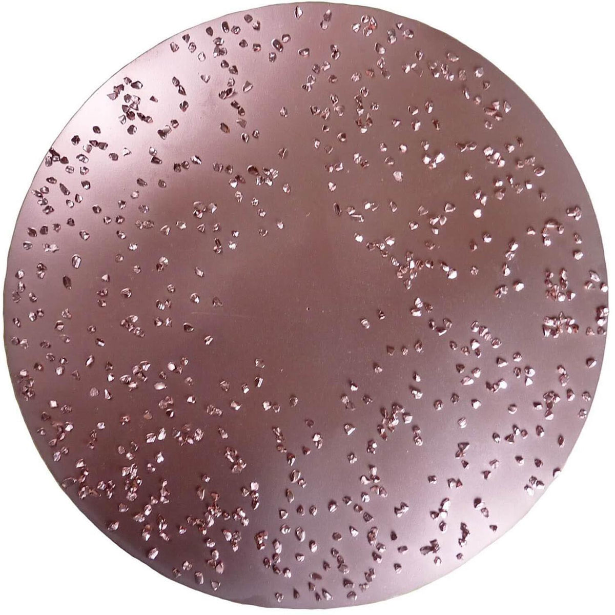 Rokamat Hard Metal Rasping Disc 230mm Fine - Beton Tools — Betontools ...