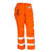 STIHL Government & Utility Chainsaw Protective Trousers - Orange