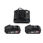 GesIpa Accubird Pro CAS Rivet Tool  ACCUPACKPROCAS-BT - Betontools Australia