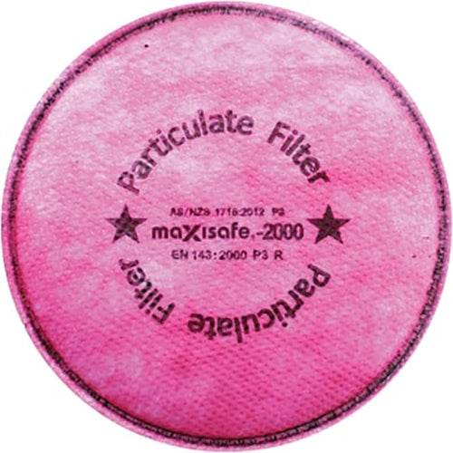 Maxisafe Maxiguard Carbon Particulate Filter R2000-P3C