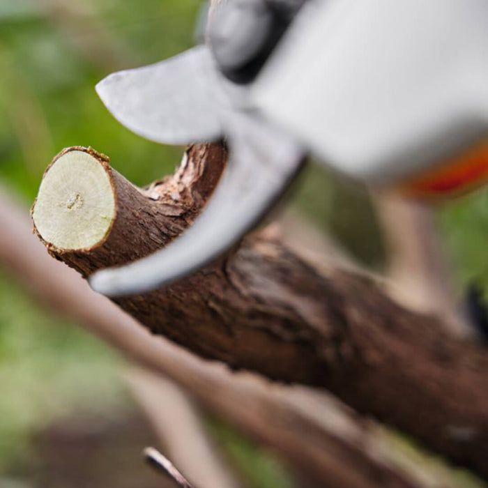 STIHL VA05 011 6200 ASA 20 Battery Secateurs AS System - Skin Only