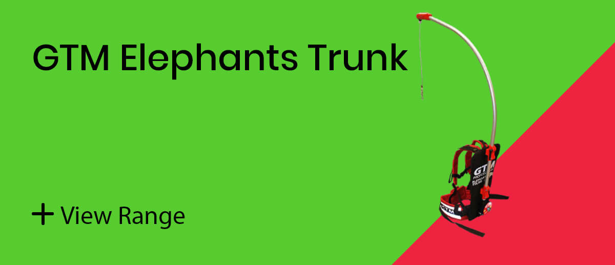 GTM Elephants Trunk