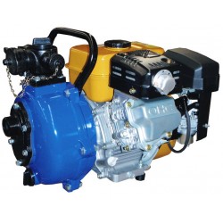 Crommelins 6.0hp Twin Impeller FF Pump FT150RP