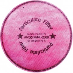 Maxisafe Maxiguard Carbon Particulate Filter R2000-P3C
